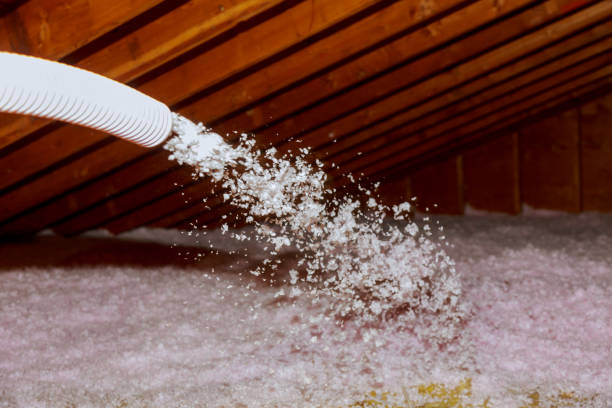 Best Types of Insulation in Blaine, MN