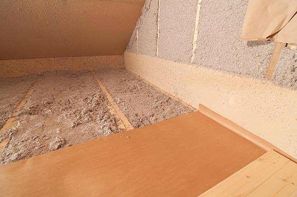 Best Insulation Maintenance and Repair in Blaine, MN